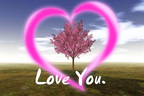 فدامحمدنادری &nbsp;نادری 