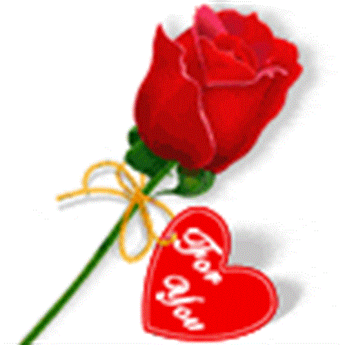 mohammad&nbsp;salehi