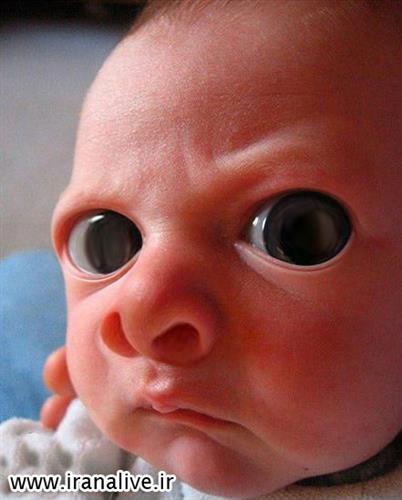 ηιмσ (nimo) &nbsp;webmaster