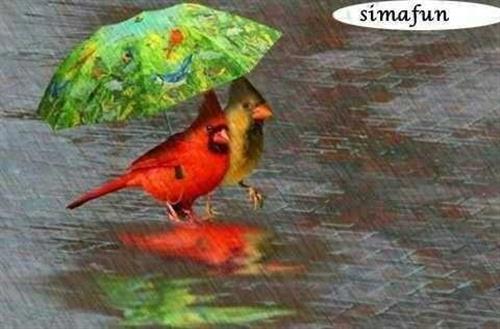 علي&nbsp;ابراهیمی