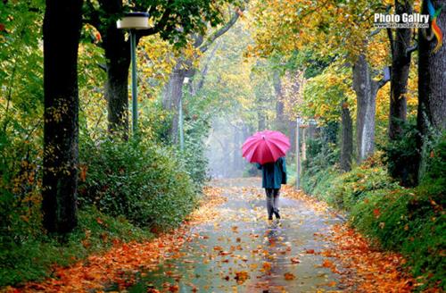 baran&nbsp;iranmanesh