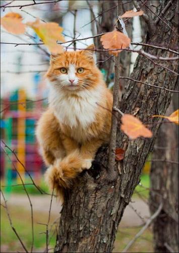 ffaffaz&nbsp;ffaffaz