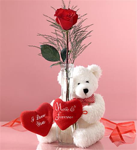 sharare&nbsp;h