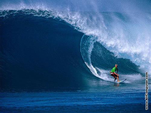 amir&nbsp;bakhshayesh