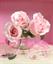 samane