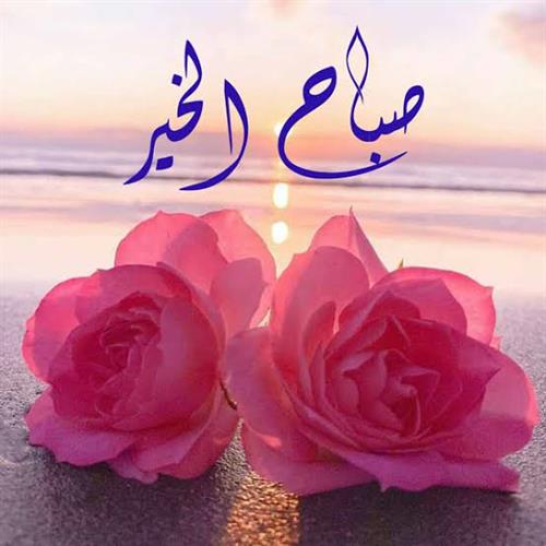 احسان&nbsp;اسلامی