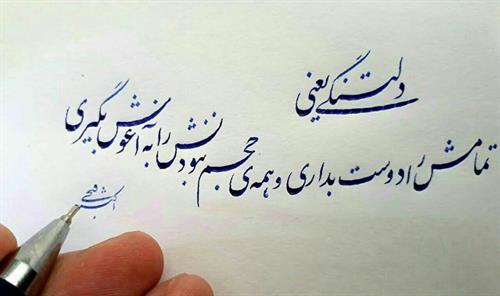 arash&nbsp;mannoname