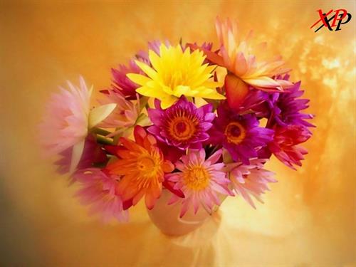 mohamad&nbsp;mohmadpoor