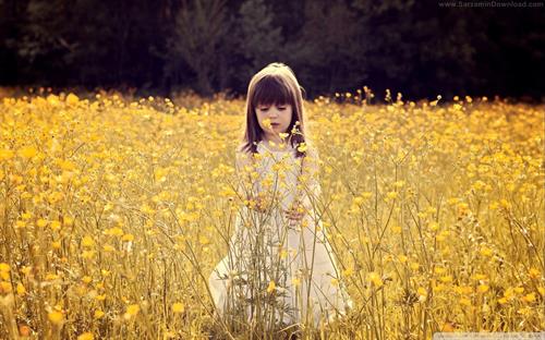 setareh&nbsp;unknown