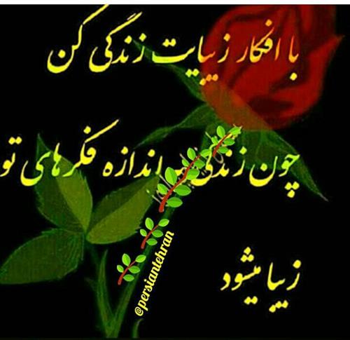 maryam&nbsp;mohamadyu