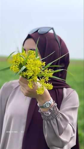 شیدا&nbsp;راد