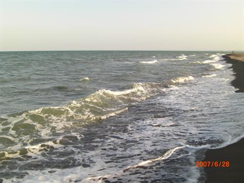 mohsen&nbsp;yeganinejed