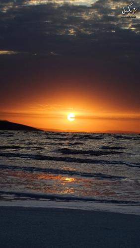 کامیار&nbsp;فراست