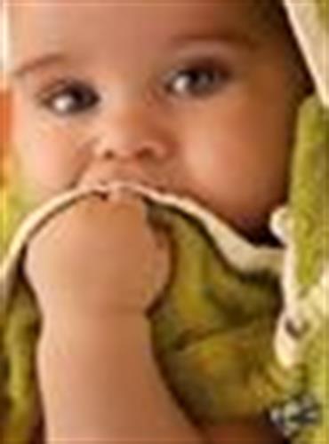 lida&nbsp;mohamadkhany