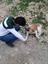farhad