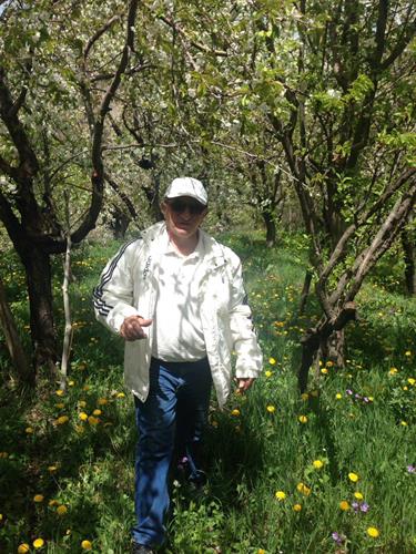 علي&nbsp;احمدي