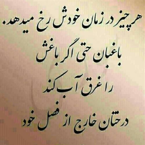 mansor2011&nbsp;rezaei