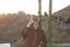 donya