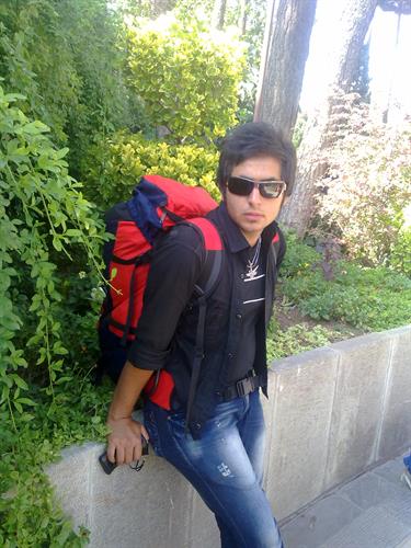 amir reza &nbsp;samaee