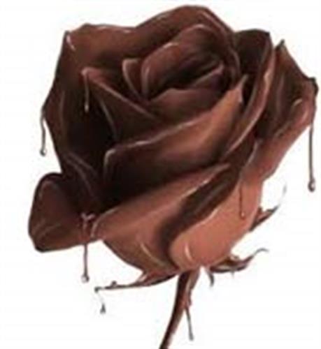 سعید&nbsp;محمدی