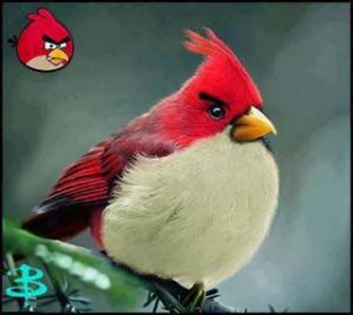 farzad&nbsp;zanganeh