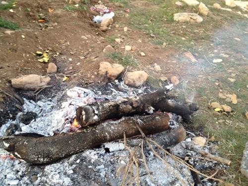 mim.parsco@yahoo.com&nbsp;morade poor