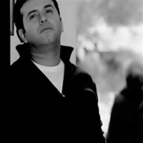 hamaid&nbsp;setaiesh