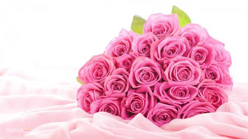 eli&nbsp;asheghe mohammad