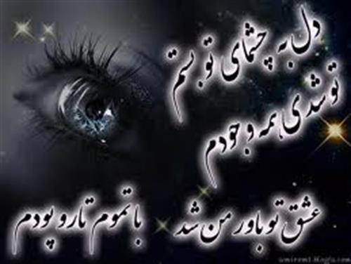amin&nbsp;asadi