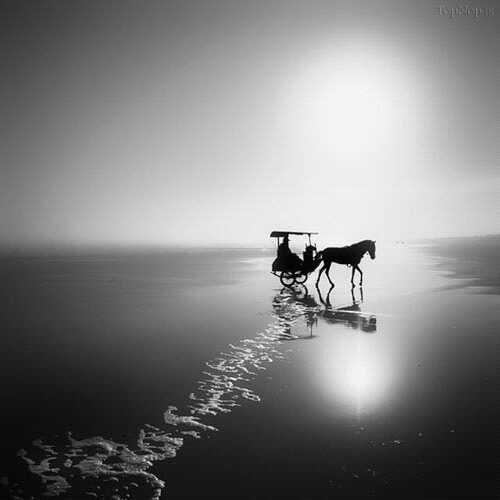 ghazaleh&nbsp;ghaffari