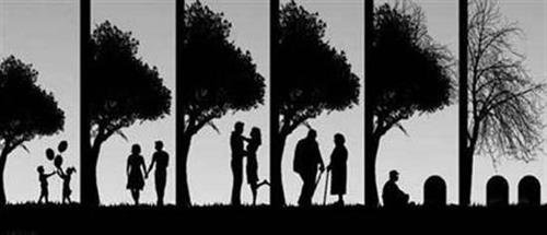 parsiantdh&nbsp;majid