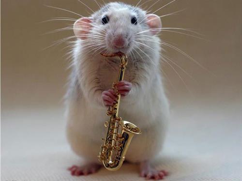 reza fu..k&nbsp;rezaee