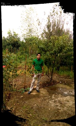 پیمان&nbsp;محمدی