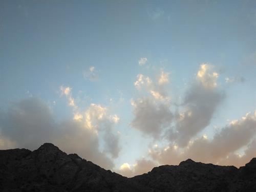 مصطفی&nbsp; فرهادی