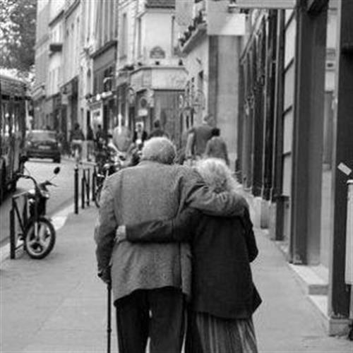 مرجان &nbsp;فارس