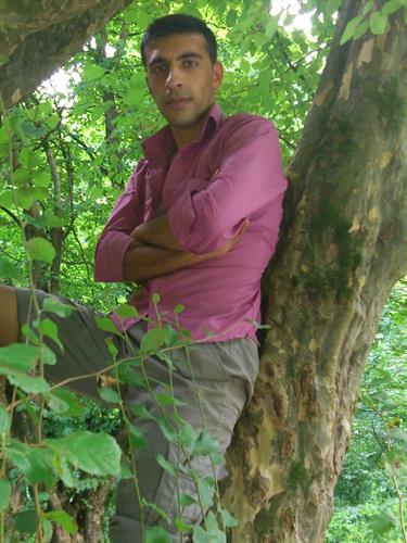 f @ r - @ d&nbsp;g o r g @ 