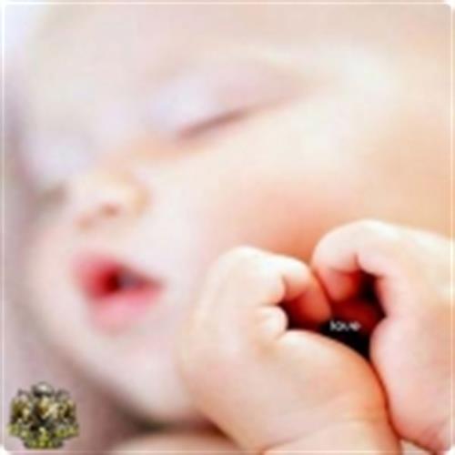 mina jigar&nbsp;tala