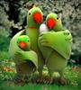 mohsen