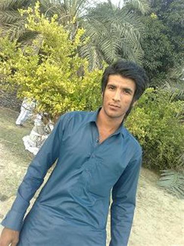 amir&nbsp;borhani