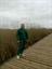 mohsen