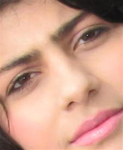 shiva&nbsp;sharifinia