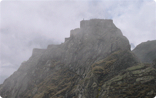 alireza&nbsp;shahriari