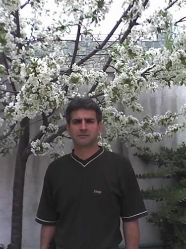 reza&nbsp;shabani