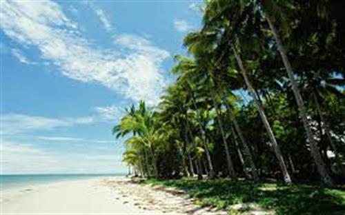 alireza&nbsp;setayesh