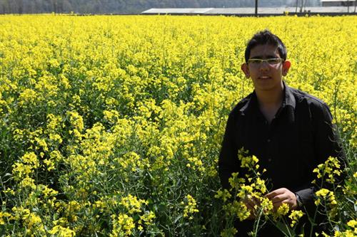 mohammad javad&nbsp;mellati