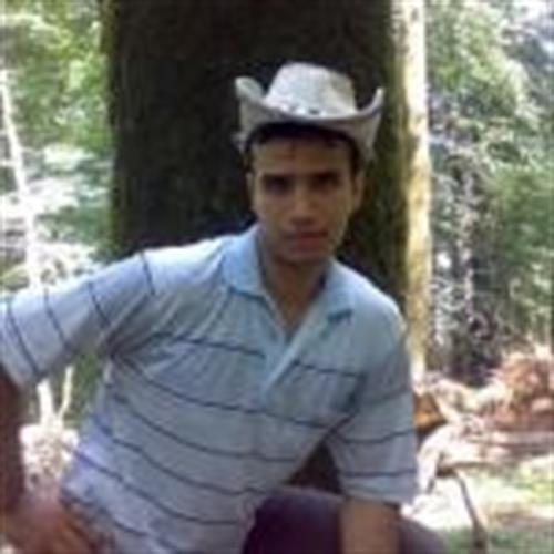 mahmoud&nbsp;mostafavi