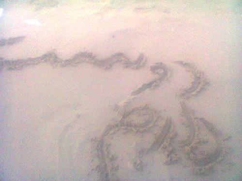 پارسا&nbsp;عباسی