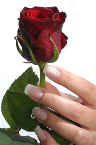 مسعود&nbsp;نیکنامی