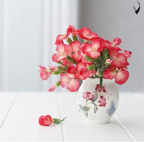 صبا&nbsp; حسینی 