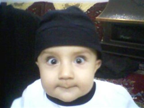 moslem&nbsp;mahdavinia